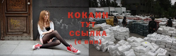 дмт Магас