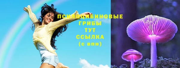 дмт Магас