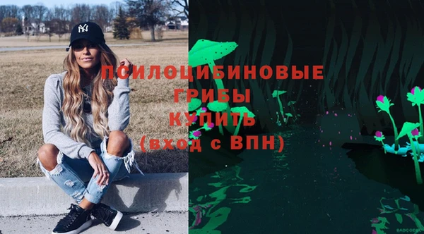 дмт Магас