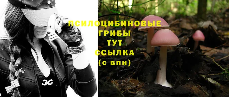 Псилоцибиновые грибы GOLDEN TEACHER Усмань